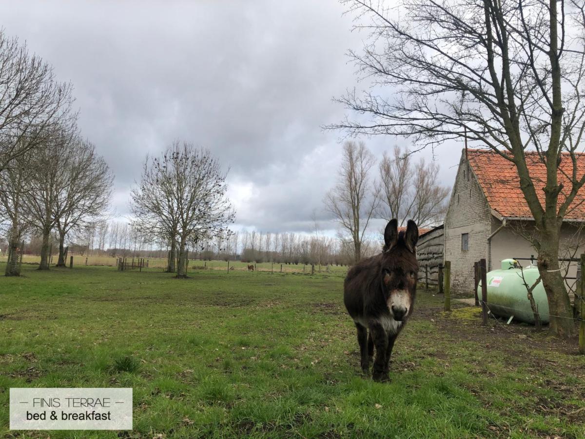 Appartement Aan Puyenbroeck Wachtebeke 外观 照片